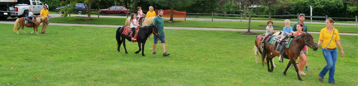 Pony rides rentals for birthday parties, schools and festivals.