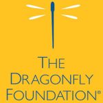 The dragonfly foundation celebrity softball