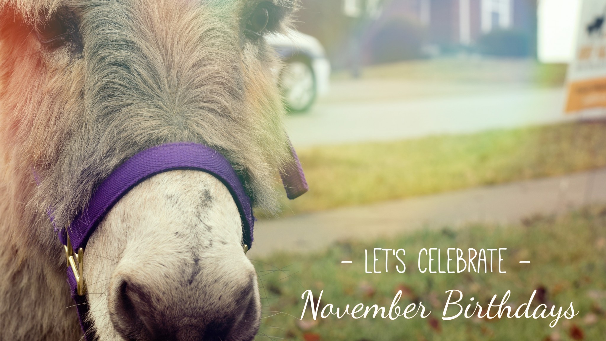 Fall birthday party ideas for cincinnati, lexington and louisville