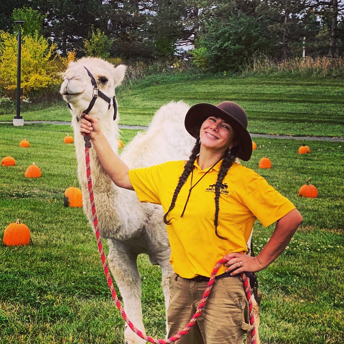 Honey Hill Farm Mobile Petting Zoo and Pony Rides will help bring your ...