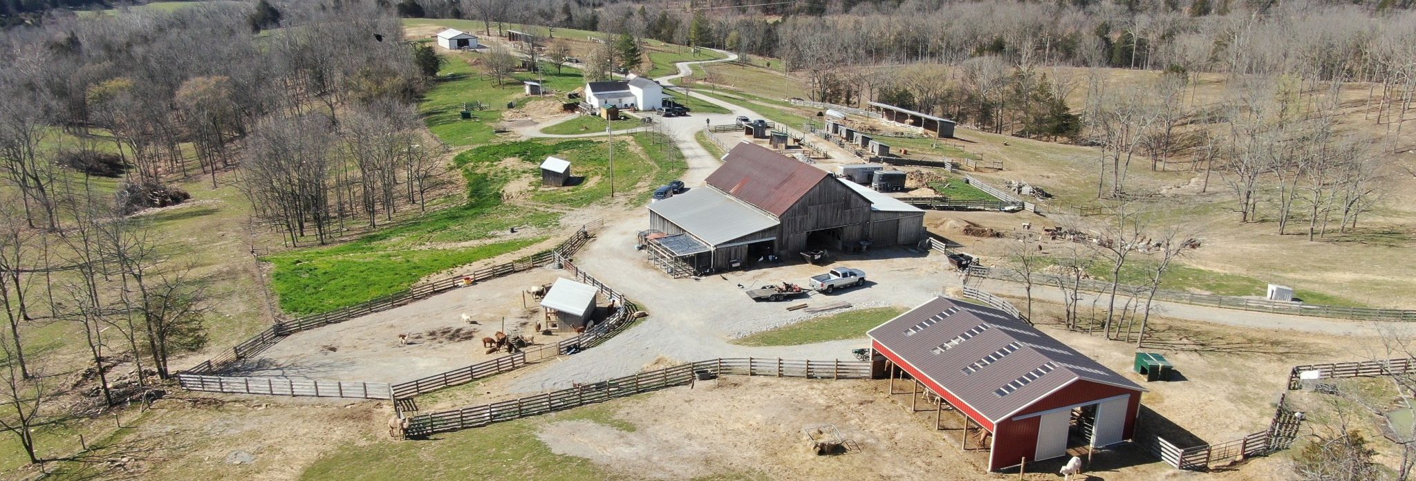 Honey Hill Farm Backstage Tour features pony rides and kangaroo encounters