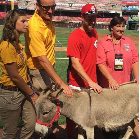 Honey Hill Farm is the best, most experienced and most professional petting zoo in the tri-state area.