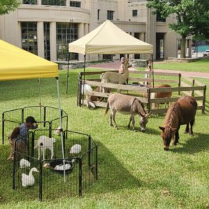 20zoocropped 20zoocropped