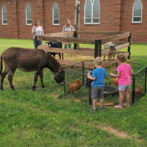 Gemini_Generated_Image_pgin1cpgin1cpgin Gemini_Generated_Image_pgin1cpgin1cpgin